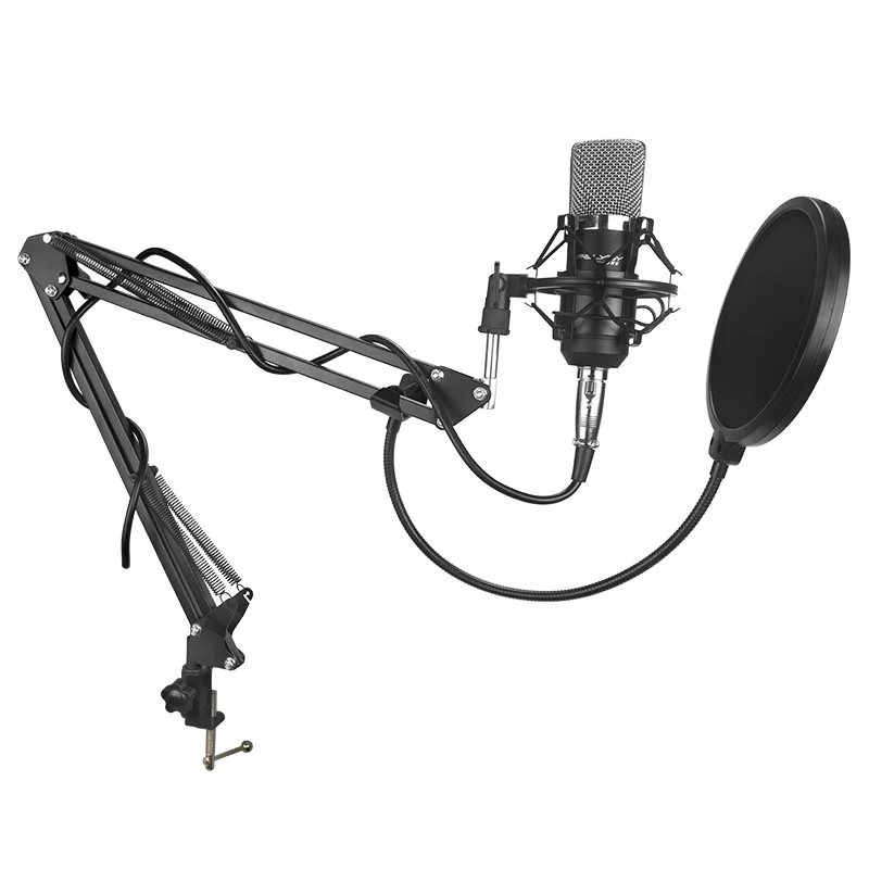 Stand Filter Высококачественный проводной Стерео конденсаторный микрофон с держателем и зажимом, крепление для общения, пения, караоке, ПК, ноутбука, BM 700 - Цвет: Stand Filter