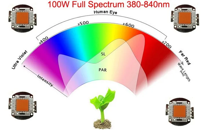 1 шт. 400нм-840нм полный спектр led grow chip 50 Вт 100 Вт led растительный светильник s светильник источник для цветочных растений Гидропоника