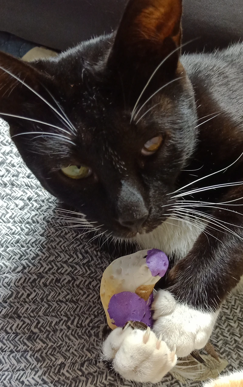 [MPK Cat Toys] Искусственные Птицы с магнитами, кот развлекательная игрушка