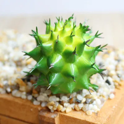 D Искусственные влагозапасающие растения Sedum Pachyphyllum поддельные растения Цветочная композиция домашнее украшение сада для свадебной вечеринки флористика - Цвет: D
