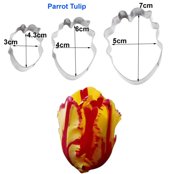 Parrot Tulip Mold Byjunyeor 29 видов цветок торт резак форма для украшения торта инструмент из нержавеющей стали резак цветок лепестковая форма-резак Жевательная паста Форма - Цвет: Parrot Tulip Mold