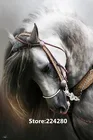 Вышивка для рукоделия, для вышивки, сделай сам, белая, андалузская лошадь, животное, 14ct, холст, Набор для вышивки крестиком, художественный узор, Счетный Декор ручной работы