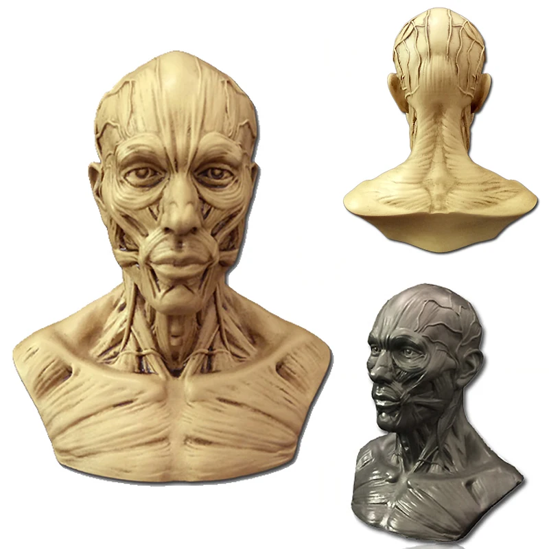3D Художественная Картина штукатурка статуя силиконовая форма череп голова человека мышечная Структура эскиз обучающая модель свечная глина форма для мыла ручной работы