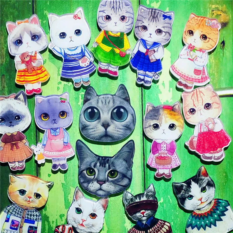 1 шт Meow Star People акриловая брошь значки Pin рюкзак для женщин и мужчин Одежда булавка