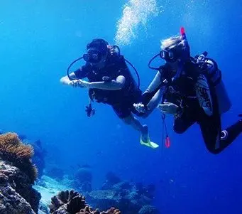 High Quality New Waterproof Diving Outdoor Case Bag For iPhone5 6 6S 7 8 XS Samsung S7 S8 S9 Universal Bags |