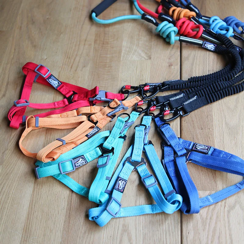 Large dog elastic traction rope eight kinds of color choose match at length 120 cm high strength plastic buckles safe durable |