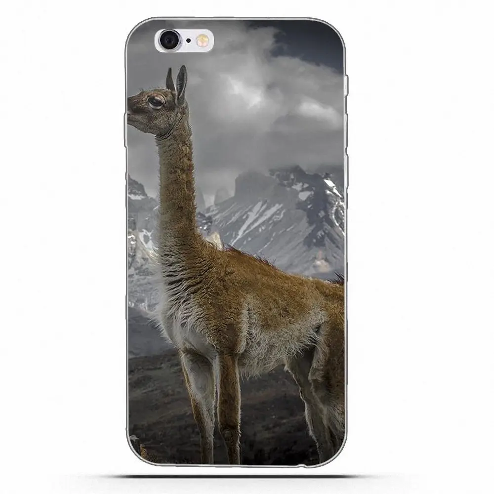 Swag Llama Alpacas для Apple iPhone 4 4S 5 5C 5S SE 6 6S 7 8 Plus X Мягкие ТПУ чехлы мобильных телефонов |