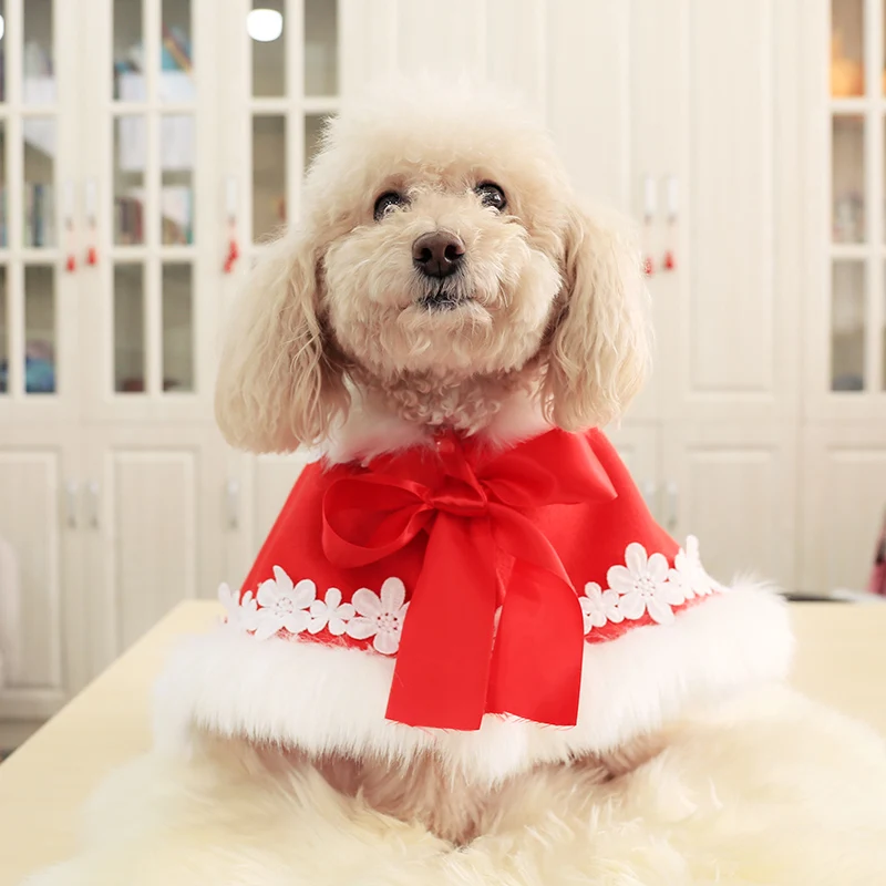Одежда для собак PETCIRCLE одежда на зиму и осень плюшевый щенок бульдог чихуахуа