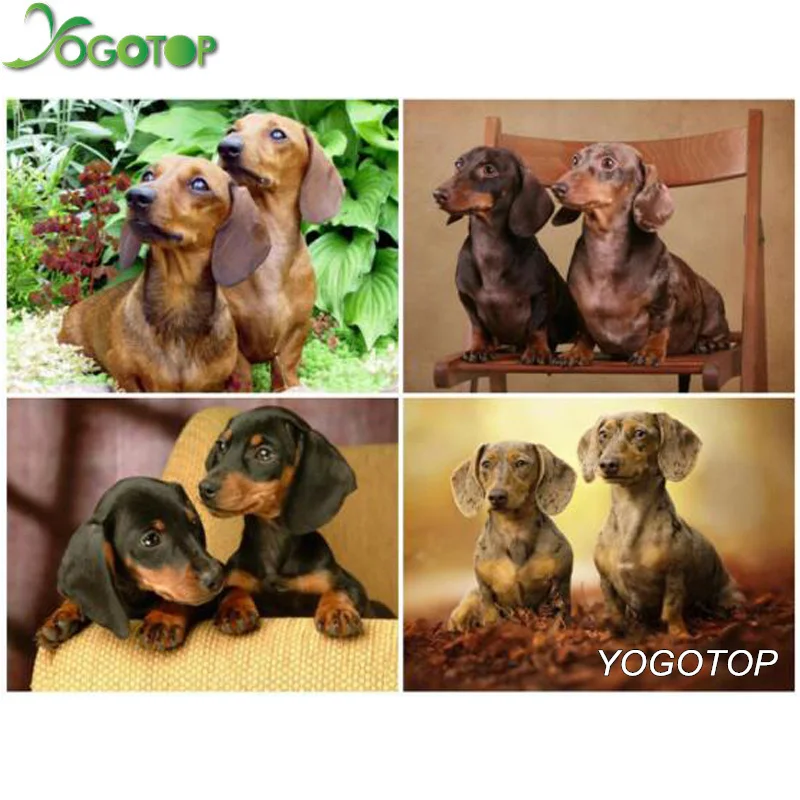 5D Сделай Сам Вышивка Полный дисплей собака Стразы мозаика квадрат/круглая