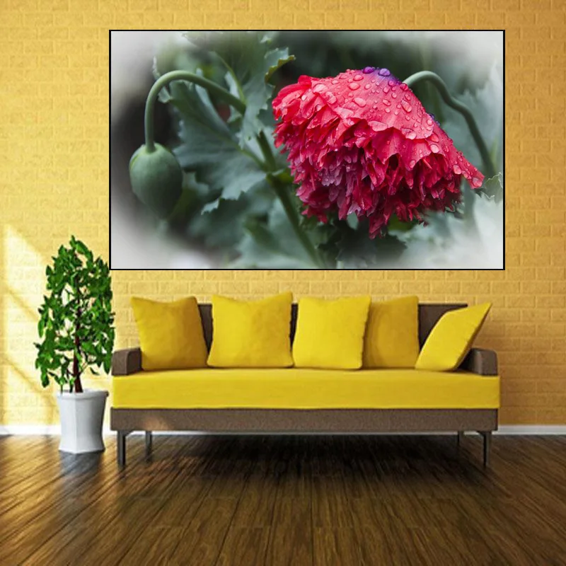 

Full Square Drill 5D DIY Diamond Painting "Poppy flower" Embroidery Cross Stitch Mosaic Northern Europe Home Decor Gift Y2979
