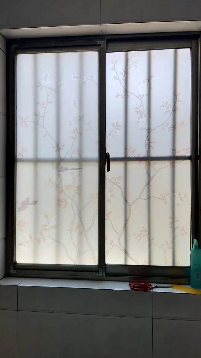 Пленка на окно с цветами и птицами, стеклянная наклейка на дверь в ванную, матовый клей-антистатик, самоклеющаяся, индивидуальная домашняя декоративная пленка