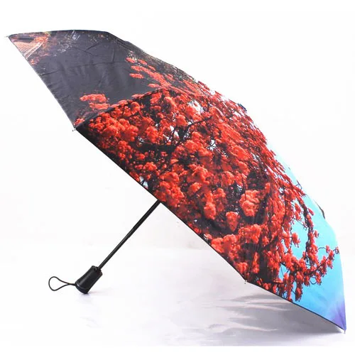 Картина Зонт черное покрытие масляной живописи Зонты открытый пляж солнце