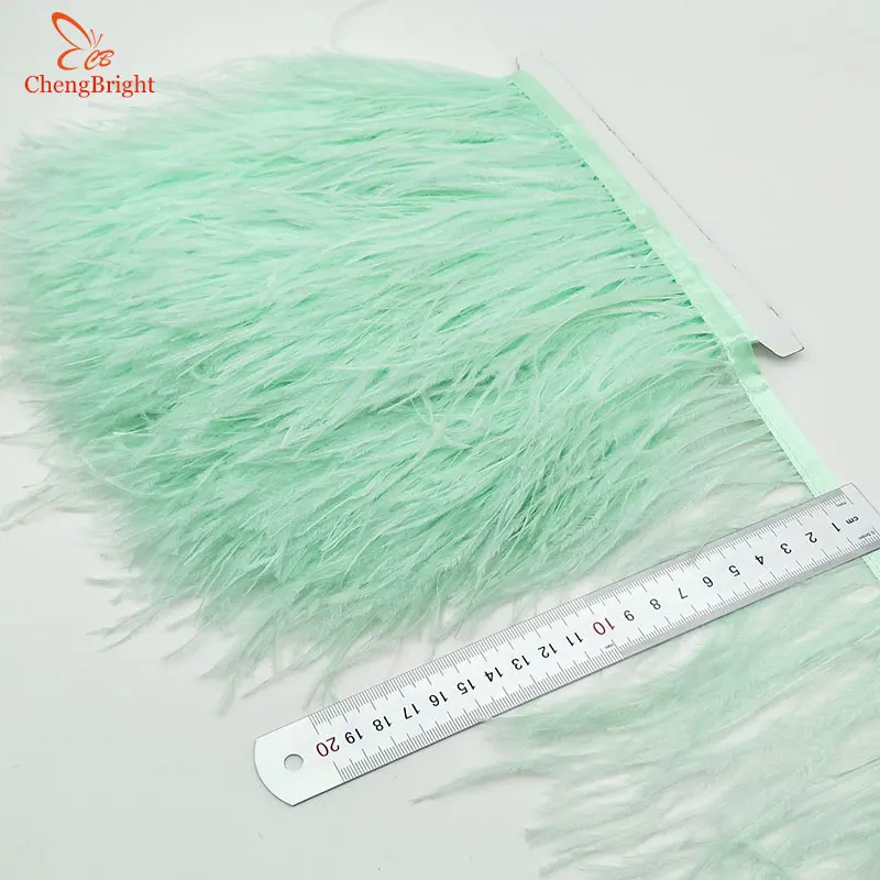 ChengBright-Cinta de plumas de avestruz, adorno de flecos para decoración de ropa, alta calidad, color verde menta, 10 yardas