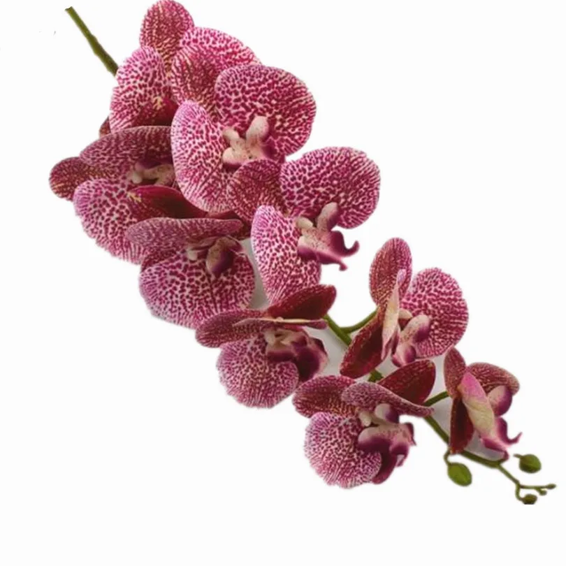 18 шт. настоящие на ощупь орхидеи искусственные Cymbidium PU фаленопсис семь цветов для