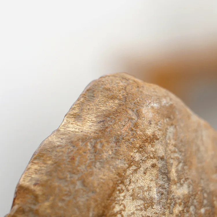 Натуральное дерево fossil Jesus портретное украшение креативное домашнее мягкое для