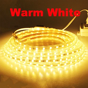 Warm White Горячая светодиодная лента 5050 IP66 водонепроницаемая гибкая световая лента 220V лампа наружная струна светодиодный канат 110V 100M с бесплатным адаптером питания - Испускаемый цвет: Warm White