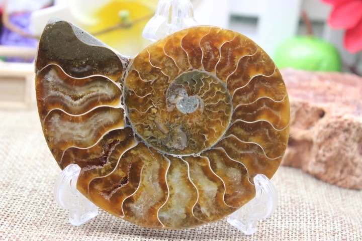 Пары раздельных фотографий исцеление Мадагаскара A9|pair| |