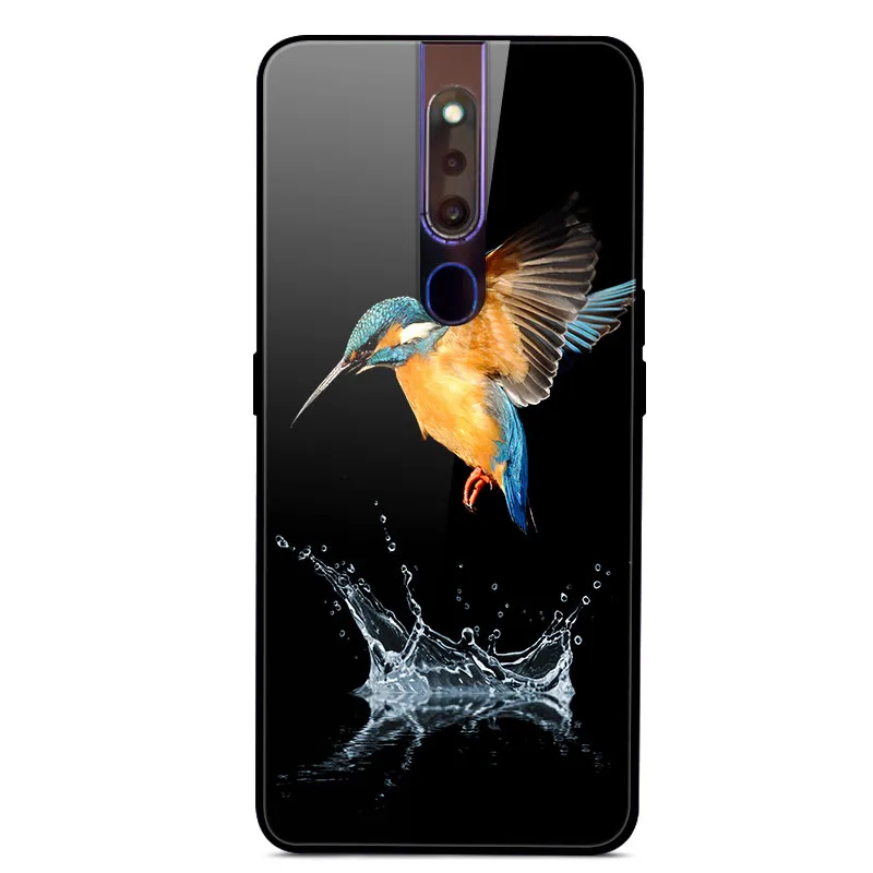 6 6,5" для OPPO F11 Pro чехол закаленного стекла задней панели жесткий чехол для OPPO F11 Pro F11Pro F 11 Pro чехол OppoF11Pro крышка бампера - Цвет: 6