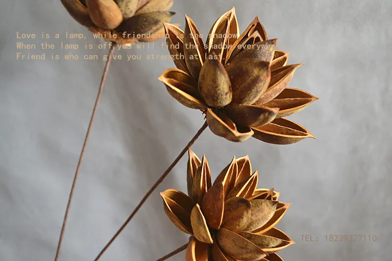 Искусственные цветы сухого лотоса искусственные букеты высушенных цветов