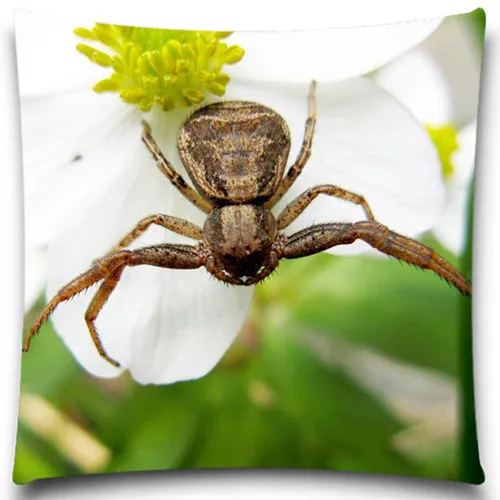 Декоративный чехол с изображением животных черного муравья пчелы |