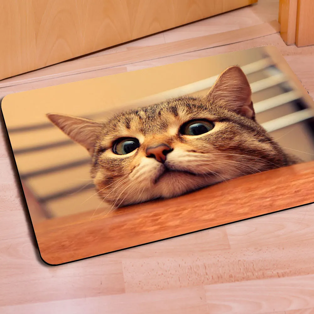 Популярный коврик 40 см * 60 для ванной комнаты двери симпатичный Мопсов и собак