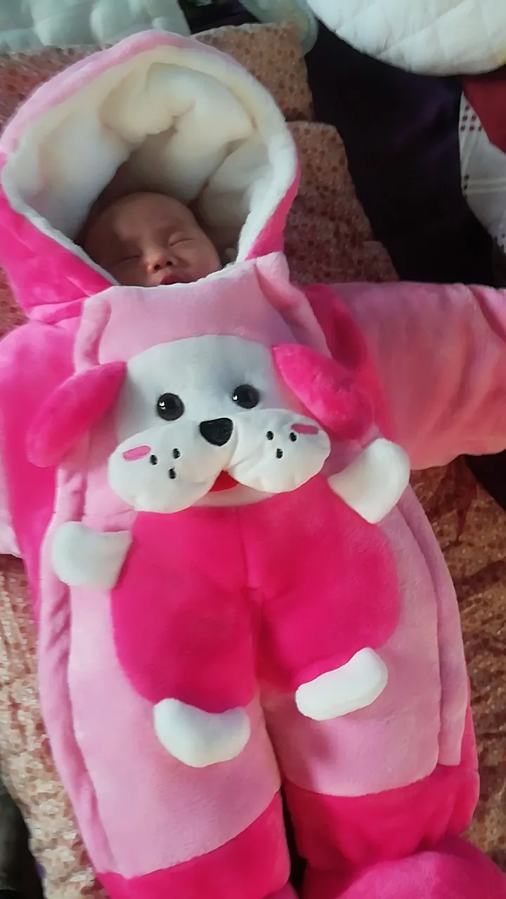 Милые костюмы с хлопковой подкладкой для маленьких девочек 2|Зимняя одежда| |