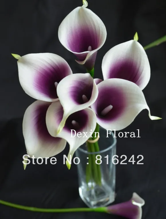 Фиолетовые цветы Picasso Calla Lily Real Touch для свадебных букетов | Дом и сад