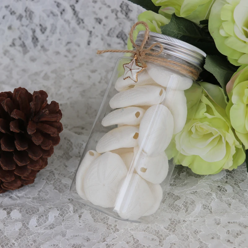 Бесплатная доставка (1 бутылка/Лот) набор из белой бутылки для морского урчина