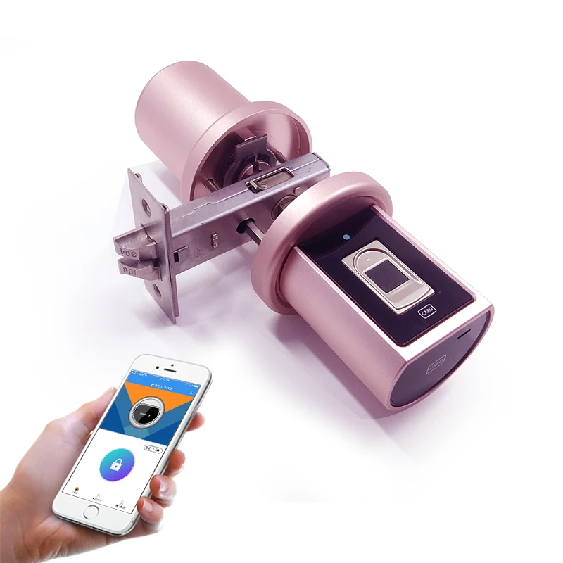 Европа смарт-замок со сканером отпечатков пальцев | Обустройство дома