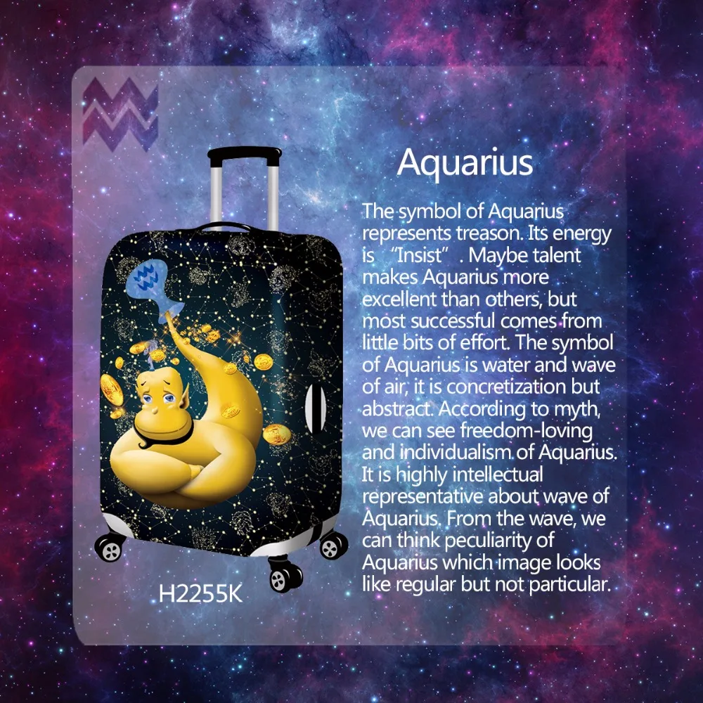 Genius персонаж мультфильма путешествия Чемодан печать с Водолей о двенадцать