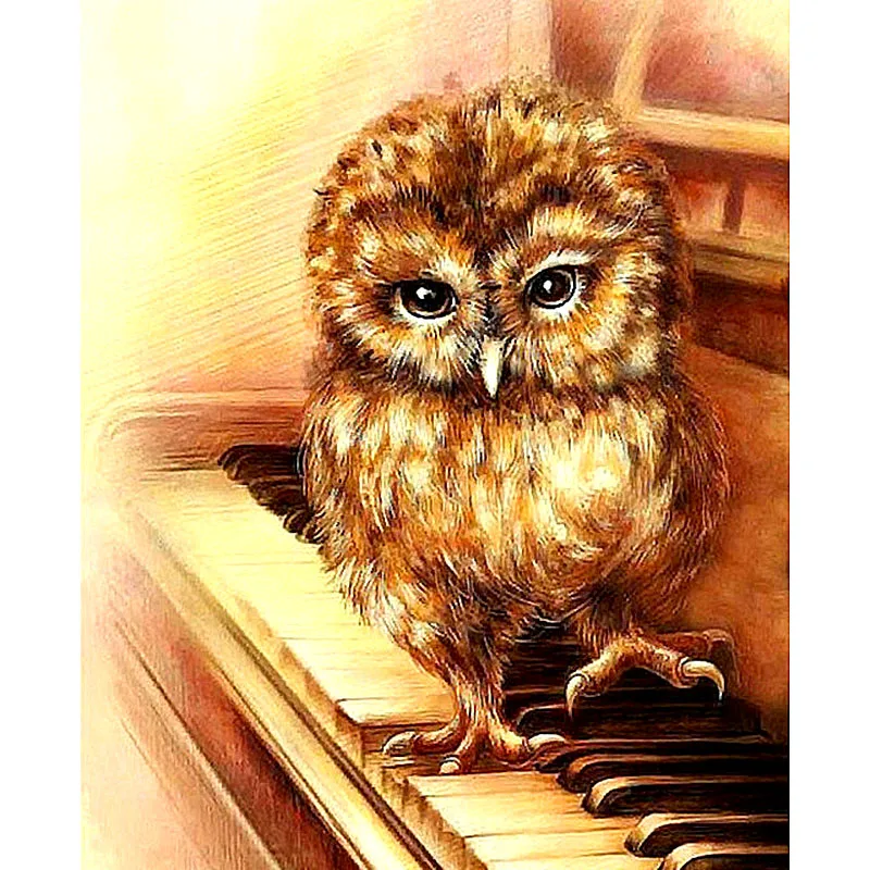 

Full Square/round Drill 5D DIY Diamond Painting "piano owl" handmade 3D Embroidery arts Cross Stitch Mosaic Decor gift WG140