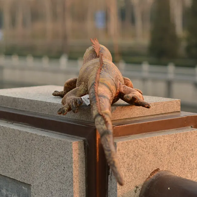 

Plush Animal Toy Simulation Green Iguana Doll Cute Lizard Simulation Children'S Toys Gifts