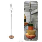 Высококачественный домашние попугаи корм для птиц, держатель из нержавеющей стали, копье для фруктов, палочка для мяса
