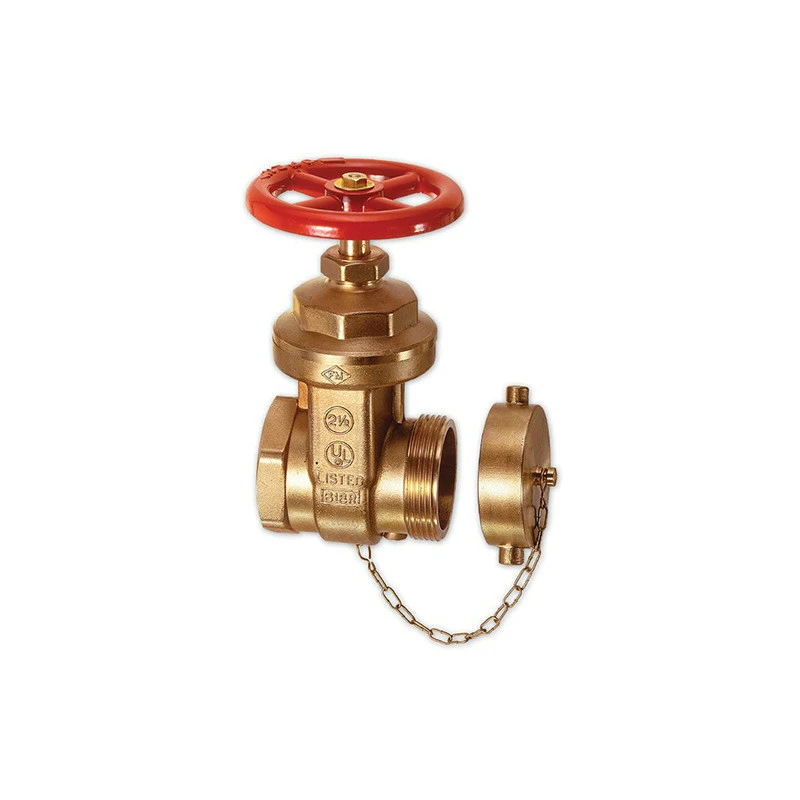2-1/2&quot NPT Fire Hydrant Gate Valve Brass with Cap Female thread x Male DN65 | Обустройство дома