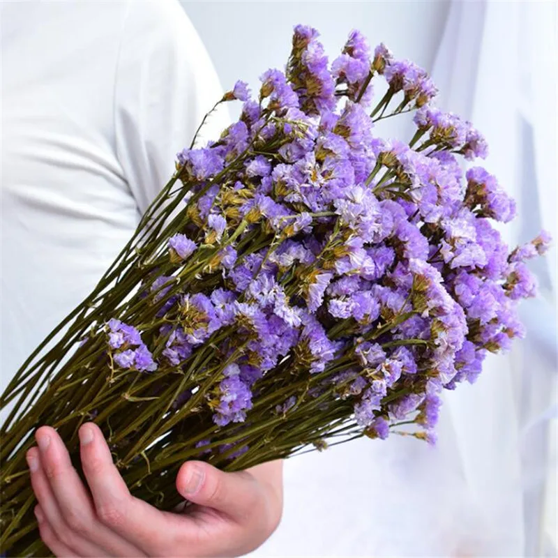 Light Purple 1 пачка 45-50 см DIY Свадебная вечеринка фото реквизит чистое натуральное растение сушеные цветы кафе библиотеки украшение для дома 100~ 150 г - Цвет: Light Purple