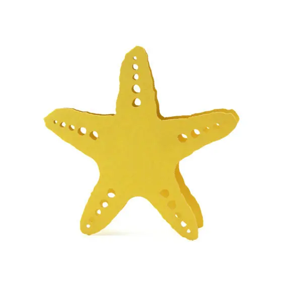 Морская звезда место карты океанской идентификации морской пляж свадьба день