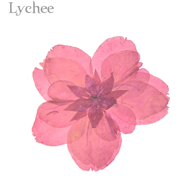 Lychee прессованный Высушенный Цветок сакуры натуральный цветок вишни домашнее