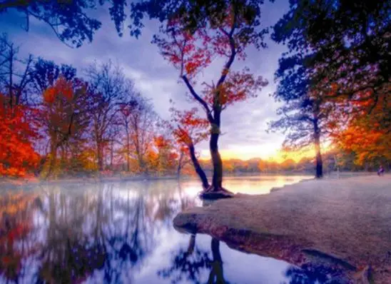 

Diamond Painting Forest Scenery Full Square/Round Drill Landscape Rhinestone Cross Stitch Kits Handmade Embroider Crafts Gift