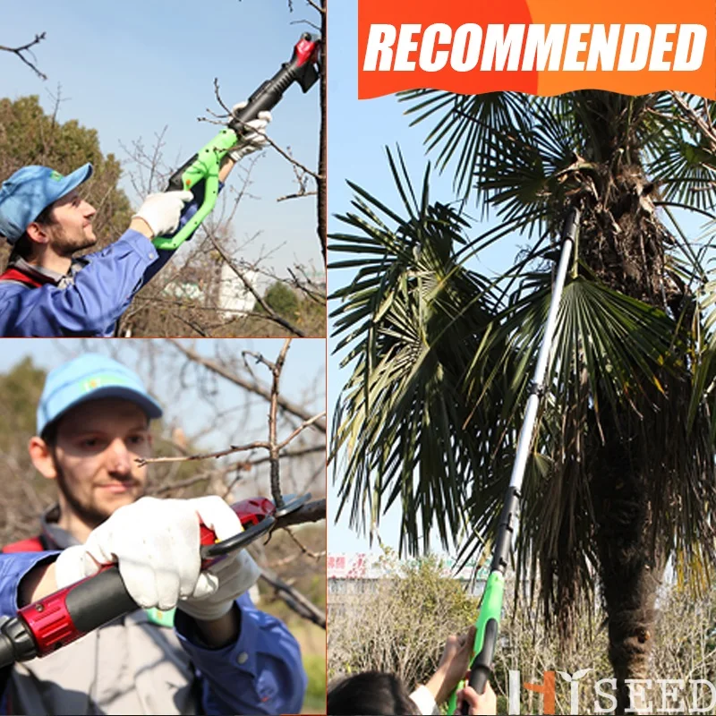 

CE Electric Orchard And Garden Tree Pole Pruner (Forged Blade)