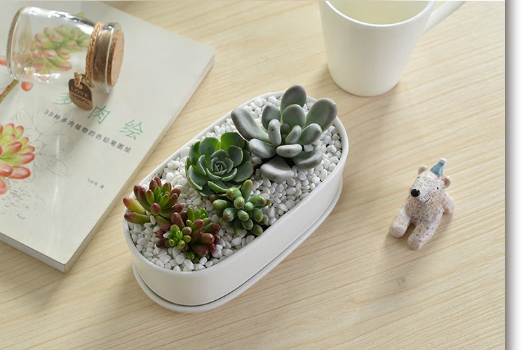 Минималистичный геометрический белый керамический горшок для растений бонсай