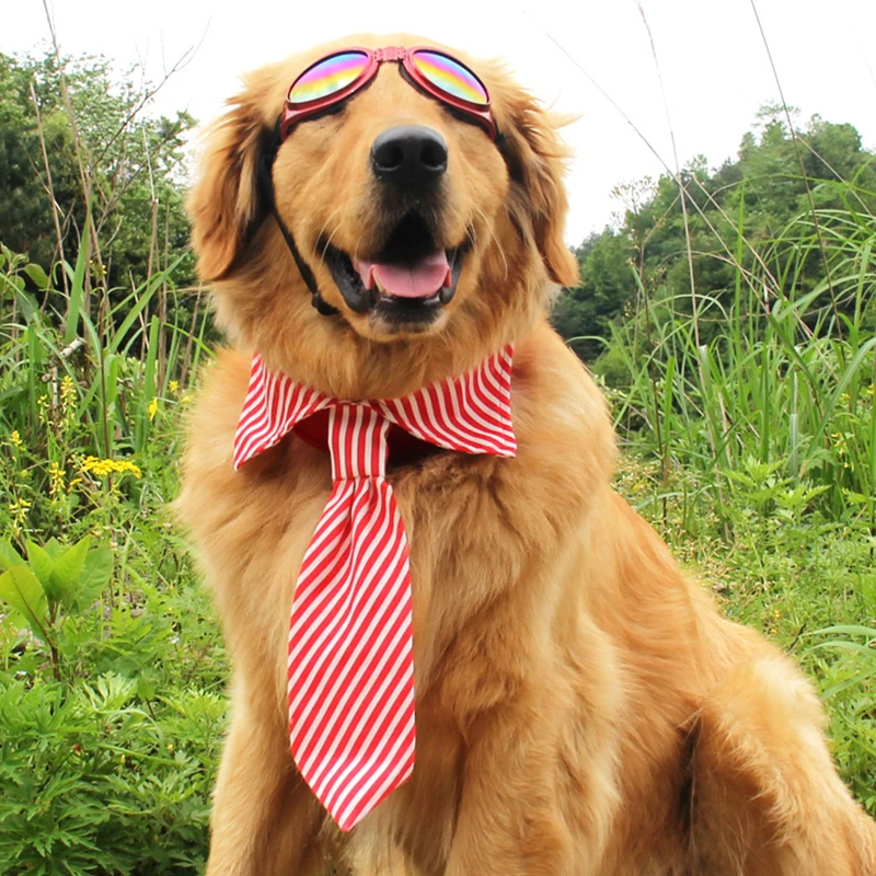 TAILUP аксессуары для собак галстук бабочка домашних питомцев Золотого ретривера