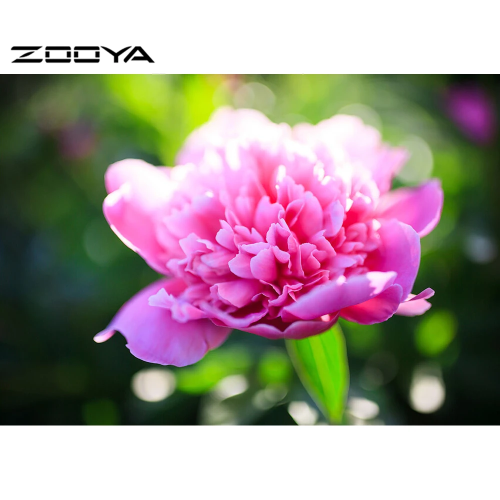 ZOOYA 5D вышивка бисером цветы картина вышивки крестом розовые рукоделие Алмазная