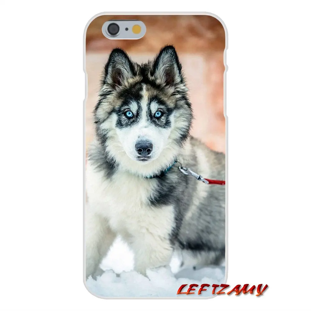 Для iPhone X XR XS MAX 4 4S 5 5S 5C SE 6 6S 7 8 Plus ipod touch Alaskan Malamute Siberian husky аксессуары Чехлы |