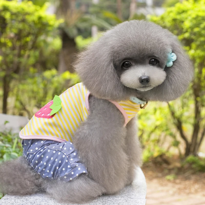 Полосатый костюм для кошки одежда собаки весенне летняя рубашка повседневные