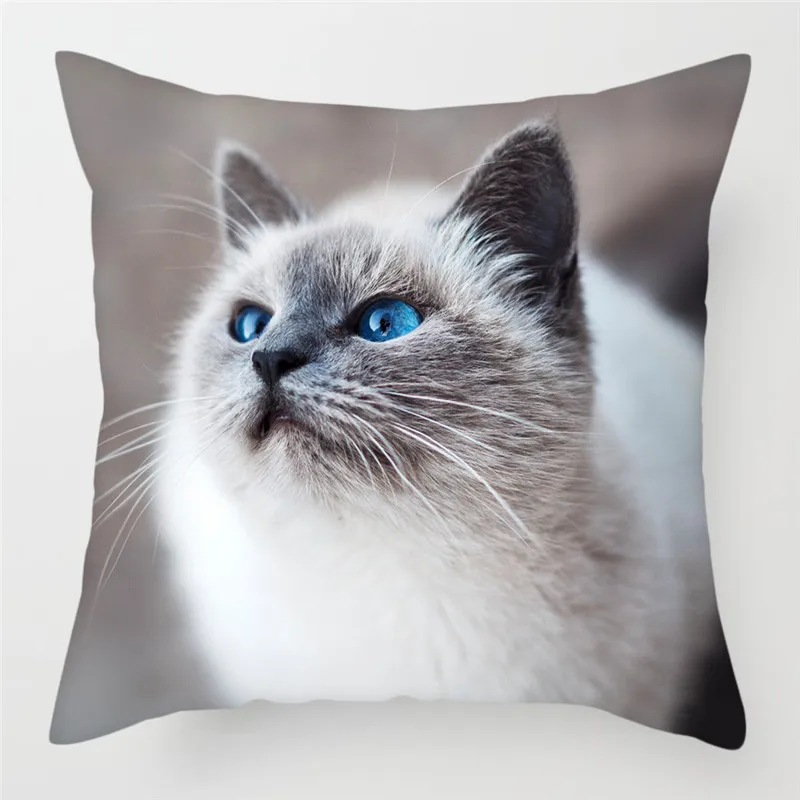 PC07374 Fuwatacchi милый чехол для подушки с кошкой размером 45*45 см канадский голая Наволочки домашние декоративные подушки для дивана, подушка для дома, стула, бросьте, наволочки для подушек - Цвет: PC07374