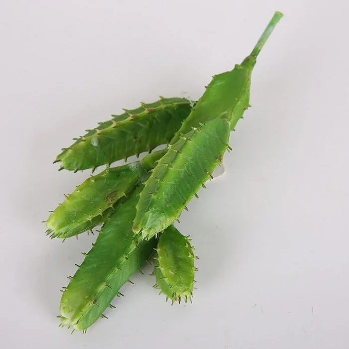 Фестивальные принадлежности искусственное суккулентное растение ветвь цветка