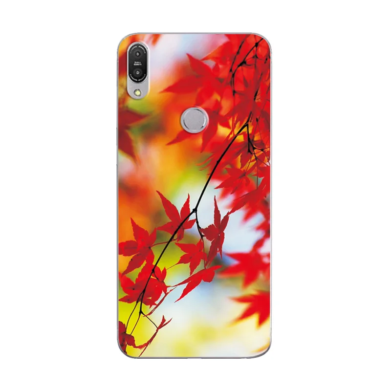 Z54 Для ASUS Zenfone Max Pro M1 ZB 602KL случай Scape различные телефонные чехлы MaxPro M1 ZB602 KL задняя крышка Fundas Capa ZB602KL - Цвет: Z54