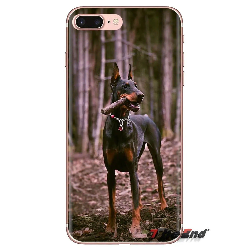 Прозрачные мягкие чехлы для iPod Touch Apple iPhone 4 4S 5 5S SE 5C 6 6S 7 8 X XR XS Plus MAX Pinscher собака