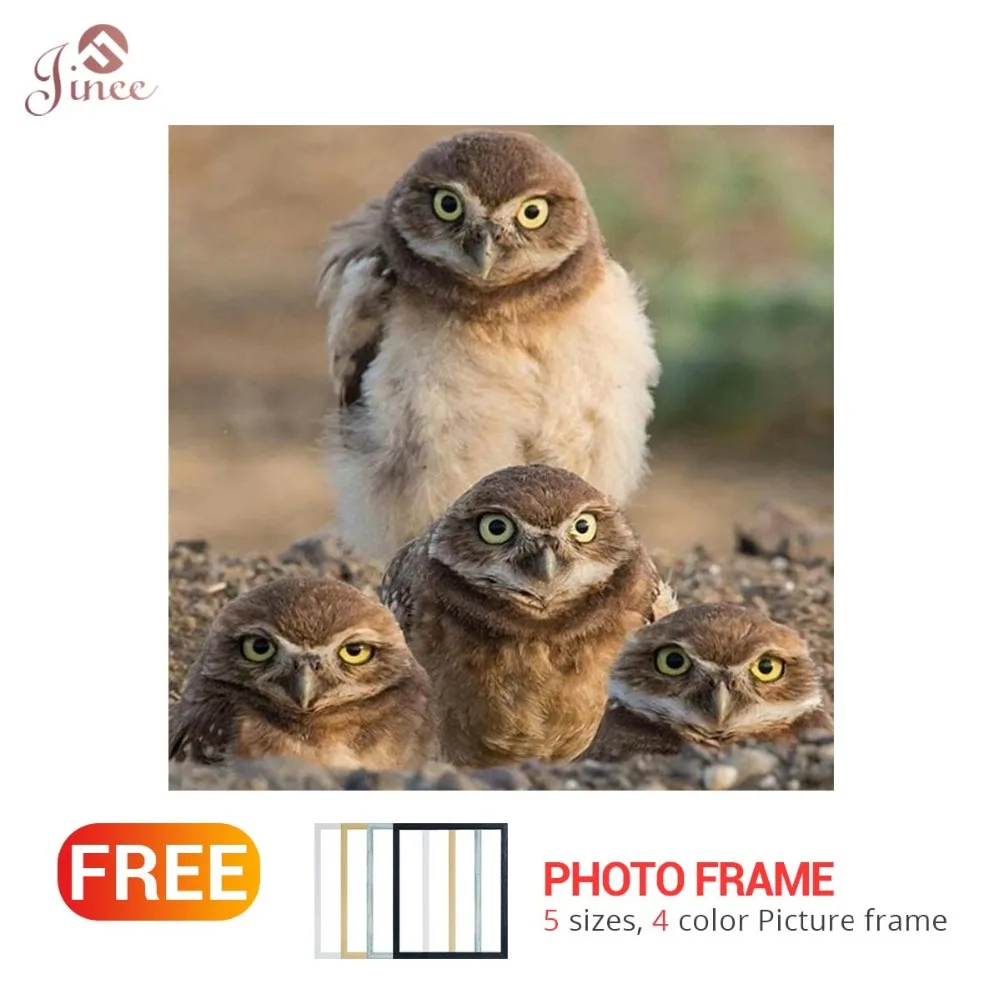 

Алмазная живопись «сделай сам» с изображением семьи птиц, алмазная живопись, полный квадрат, Четыре Птицы стразы, вышивка крестиком, домашн...