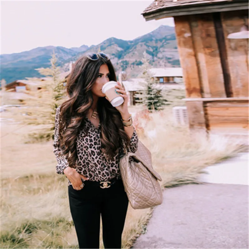 

2019 Fashion Women Summer Leopard Print Long Sleeve Button V Neck Casual Blouse